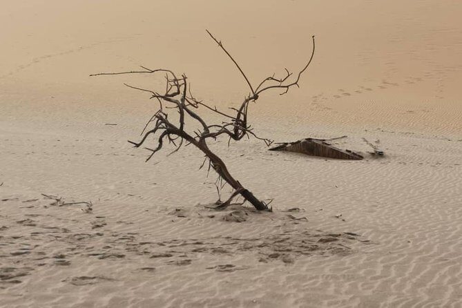 Sandwich Harbour 4x4 guided tours.Join us for an awe inspiring adventure. - The food factor: snacks, picnic-style breaks, and why it matters