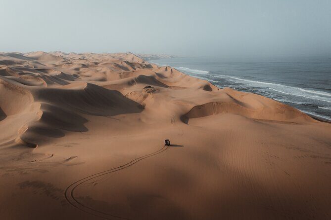 Sandwich Harbour 4x4 Half Day Experience with Beach Braai - Key Highlights You’ll Actually Care About