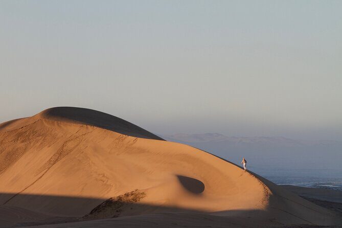 Sandwich Harbour 4x4 Half Day Experience with Beach Braai - Pelican Point Beach Braai: Why the Meal Is the Main Event