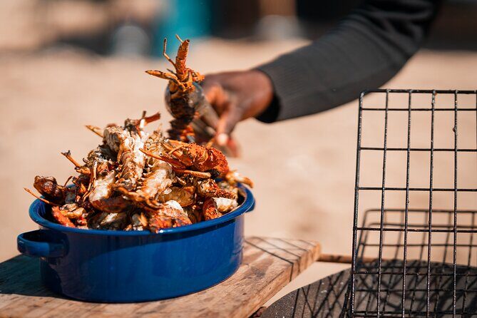 Sandwich Harbour 4x4 Half Day Experience with Beach Braai - What’s Included (and What’s Not) So You Can Budget Smart
