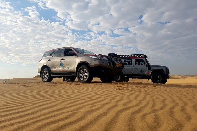 Sandwich Harbour 4x4 Half Day Experience with Beach Braai - The 4x4 Dune Ride at Sandwich Harbour: Photos and Serious Fun