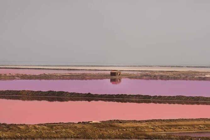 Sandwich Harbour 4x4 Private Guided Tour - Your very own private tour! - Key things to know before you go