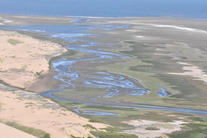 Sandwich Harbour Adventure: Seals and Sandwich harbour dune drive - Photo stops, dune-walk moments, and that sundowner finish