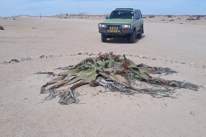 Sandwich harbour and Welwitschia Tour - Logistics that affect your comfort more than you think