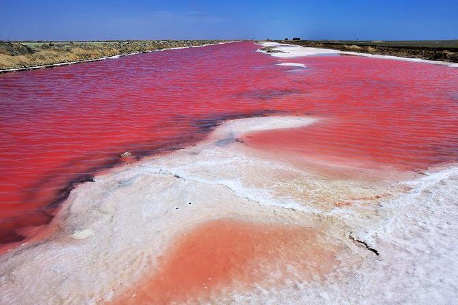 Sandwich Harbour Full Day Excursion - Into the Namib Desert: wildlife chances and keeping expectations grounded