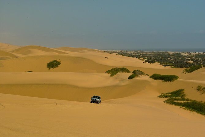 Sandwich Harbour Guided, Self-Drive Tour - Why John’s Style Makes a Difference in the Desert