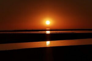 Sandwich Harbour Half Day Excursion - The dune drive: Ocean-side action and viewpoints worth the climb