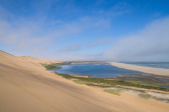 Sandwich Harbour Half Day Excursion - Guides, group size, and the reality of sand