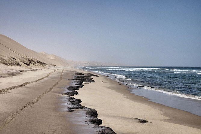 Sandwich Harbour Half Day Excursion - Should you book the Sandwich Harbour Half Day Excursion?