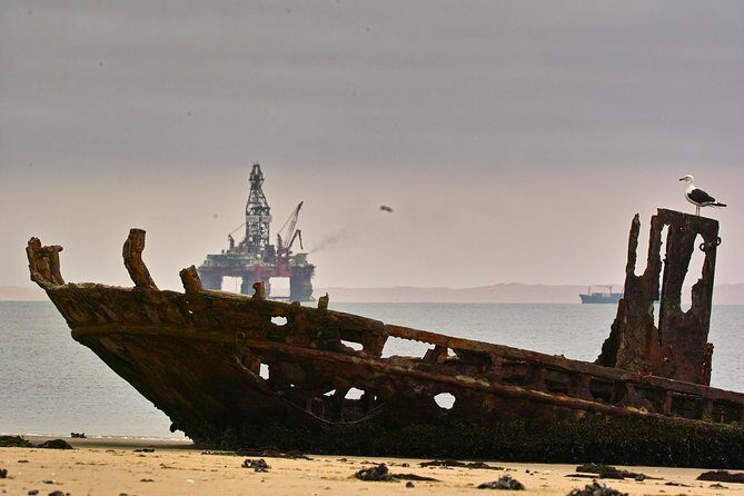 Sandwich Harbour & Pelican Point Full Day Tour - Namib-Naukluft Park: The Vastness Part Hits Hard