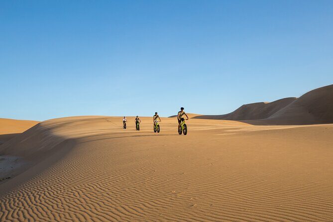Scenic Desert Tour by Bike - Downhill thrills are real, and you control how much risk you take