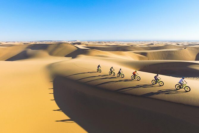 Scenic Desert Tour by Bike - Price and value: why this is a budget-friendly desert experience