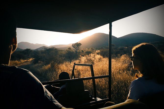 Scenic Game Drive Activity - Key Things to Know Before You Go