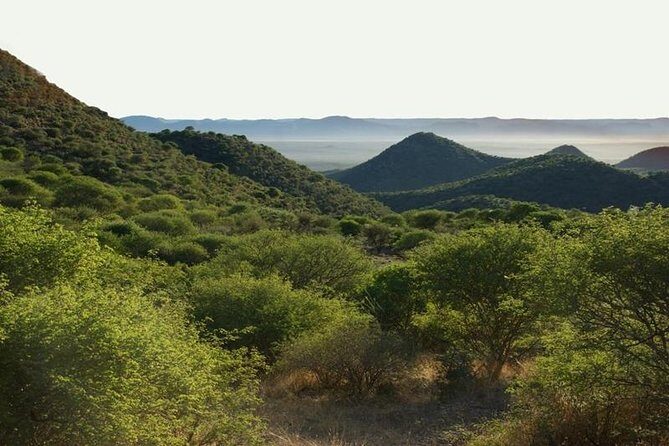 Scenic Game Drive Activity - How the Afternoon Timing Works From Windhoek
