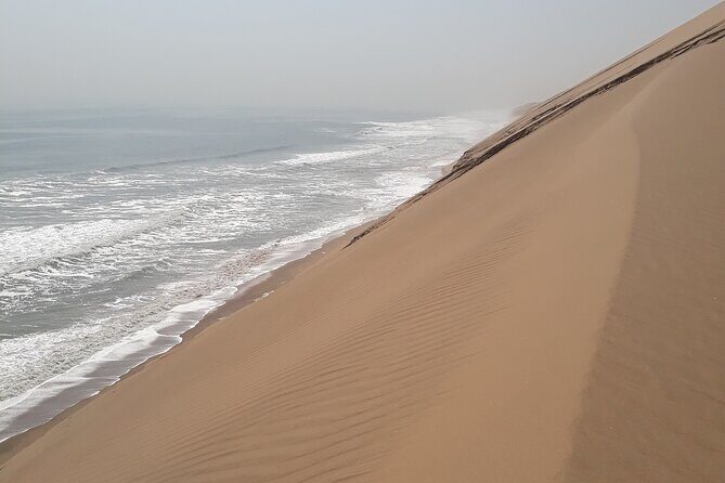 Scenic Sandwich Harbour Tour - The dune-drive part: thrilling, bumpy, and worth doing right