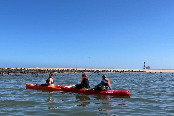 Seal Kayaking at Pelican Point from Swakopmund - Key points to know before you paddle