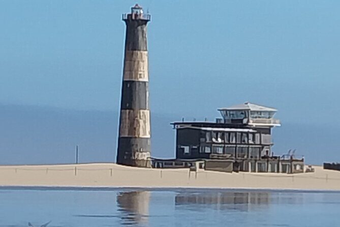 Seal Kayaking at Pelican Point from Swakopmund - Lagune flamingos and Salt Mine views: why the ride is part of the value