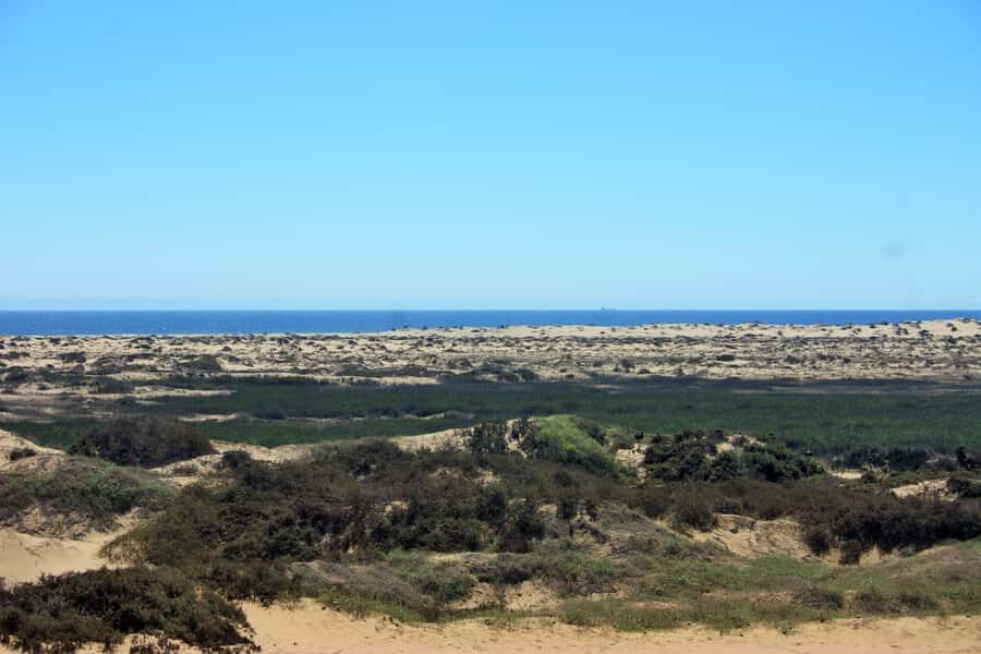 Self-Drive Guided Tour to Sandwich Harbour - Kuiseb River Delta Wildlife Watching: Where You Slow Down and Actually Look