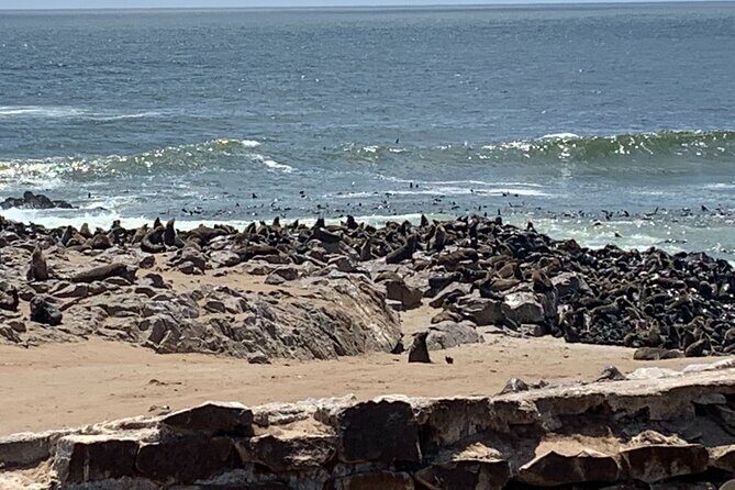 Skeleton Coast Cape Cross Seal colony Tour - A Fair Warning: Some Stops Feel Short