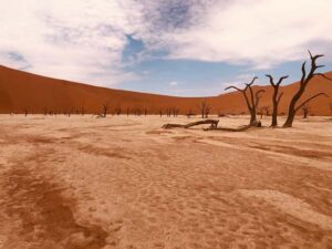 Sossusvlei: Day Trip - The day starts at 4:30 AM: why that matters in the Namib
