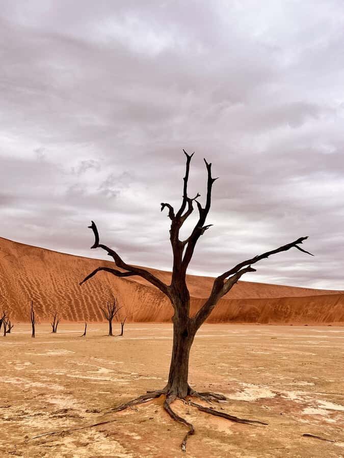 Sossusvlei: Day Trip - Stop 1: Dune 45 at sunrise views (170 meters)