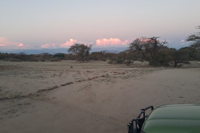 Spitzkoppe Day Tour from Swakopmund - Leaving Swakopmund at 8:00 for a Desert Day That Moves