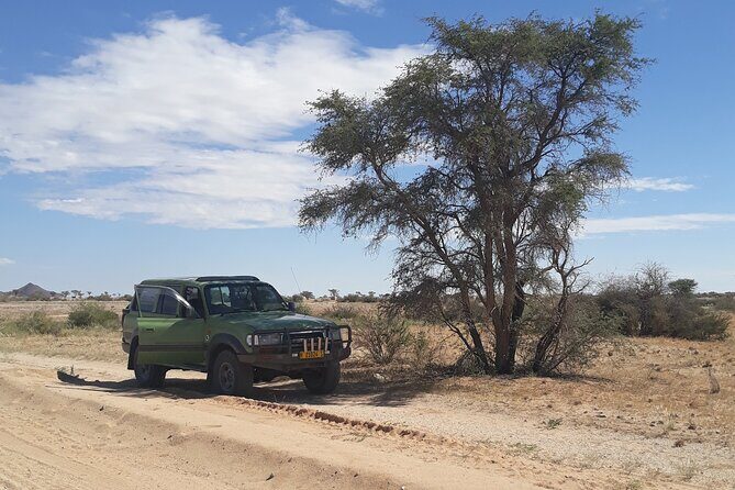 Spitzkoppe Day Tour from Swakopmund - Who This Tour Suits Best (and Who Might Think Twice)