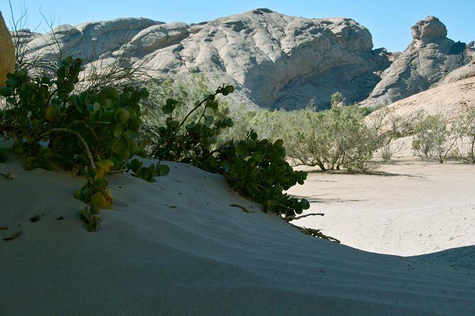 Swakop River Valley & Spitzkoppe Full Day 4x4 tour from Walvis Bay - Why the small-group cap of 8 matters in remote Namibia