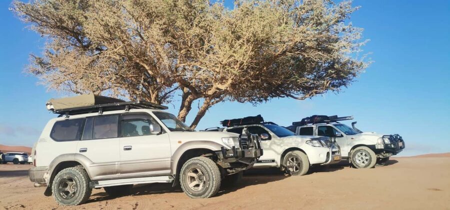 swakopmund city tour dune 7 pink lake pink flamingos - Key points to know before you go