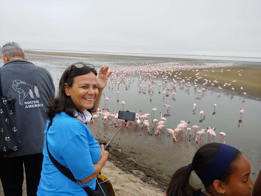 swakopmund city tour dune 7 pink lake pink flamingos - Who Should Book This Swakopmund Dune 7 and Pink Lakes Tour