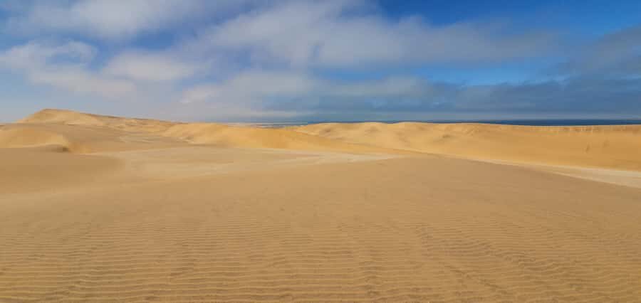 Swakopmund: Desert Dunes Quad Biking with Optional Sandboard - Who This Quad Biking Adventure Fits Best