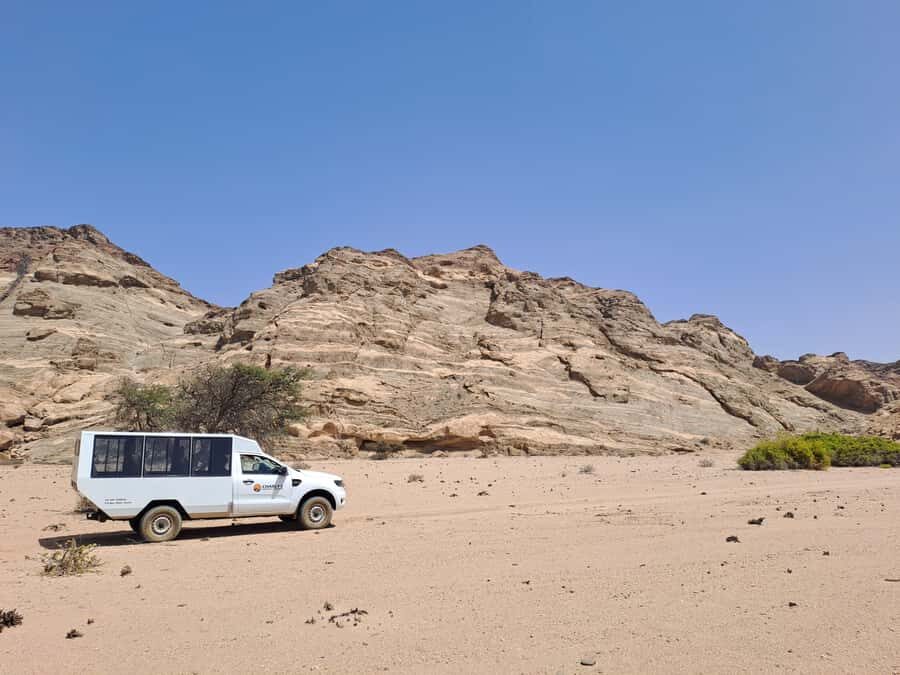 Swakopmund: Moon Valley and Namib Desert Welwitschia Tour - Wildlife spotting: who you might see and how to spot them