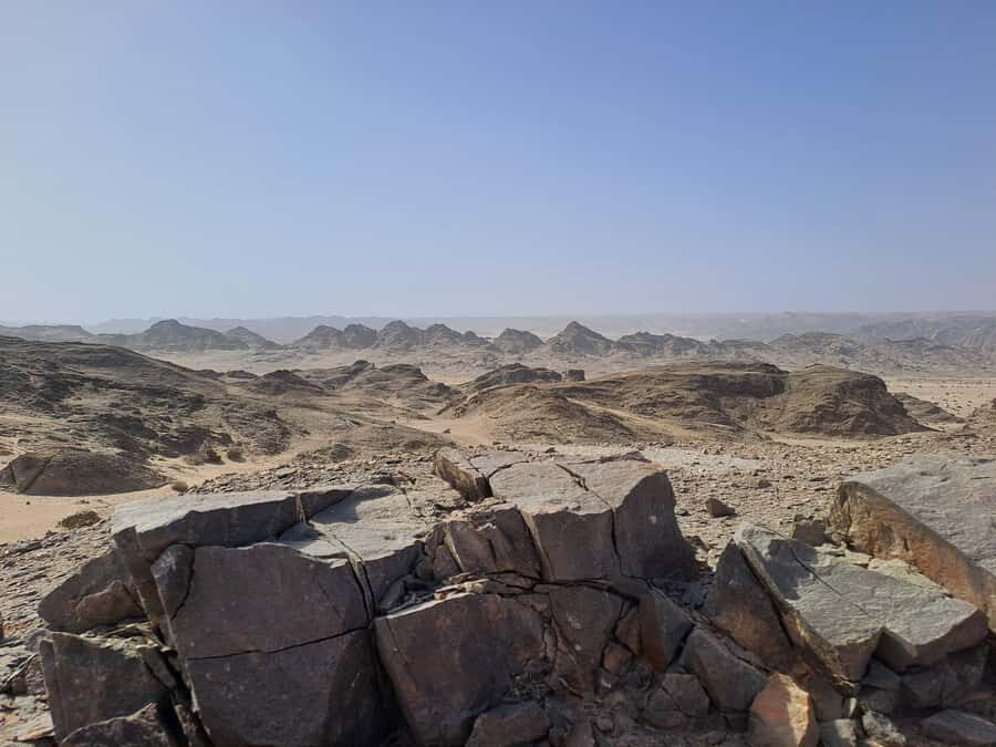 Swakopmund: Moon Valley and Namib Desert Welwitschia Tour - Timing, comfort, and what to pack for a 4-hour desert day