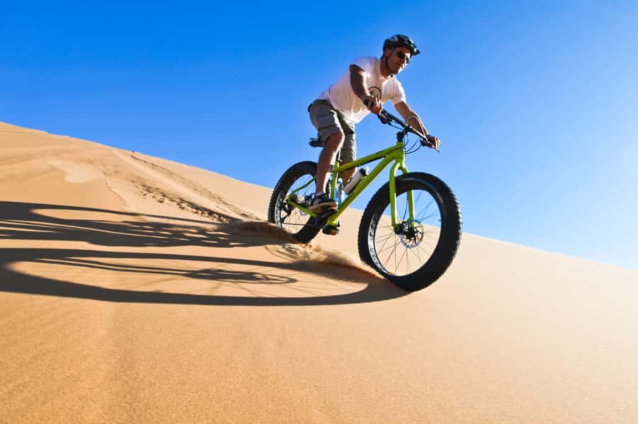 Swakopmund: Scenic Desert Bike Tour - Key highlights worth your time