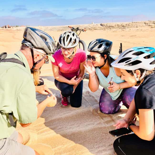 Swakopmund: "UP CLOSE" Living Desert E-FatBike Tour - Why the Namib Desert is best experienced by bike