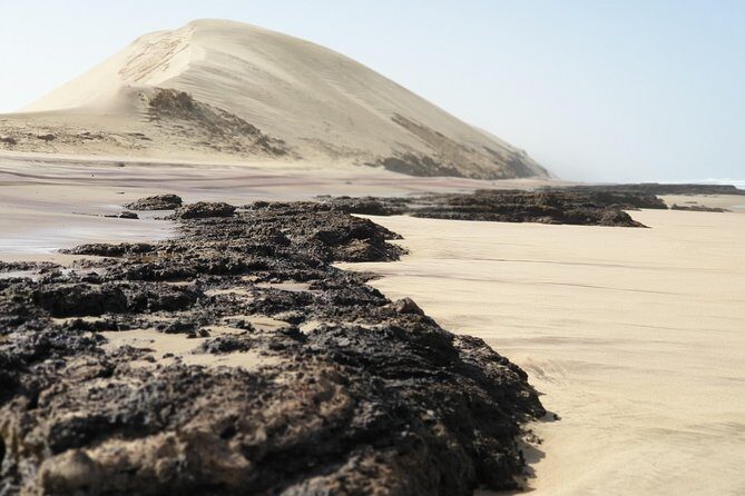 Tour to Sandwich harbour - Why Sandwich Harbour Feels Different From a Standard Nature Trip