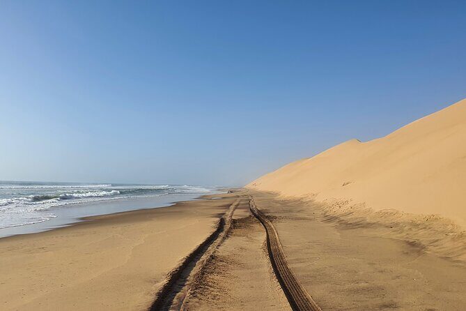 Tour to Sandwich harbour - Namib-Naukluft Park: The Big Dune View That Makes the Trip Click