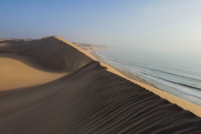Tour to Sandwich harbour - What You’ll Actually See: Birds, Coastal Pieces, and Desert Animals