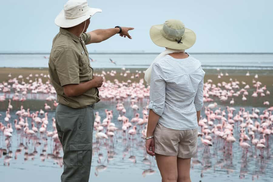 Walvis Bay: 4x4 Desert Excursion to Sandwich Harbour Bay - Walvis Bay dunes meet the Atlantic, and it feels unreal