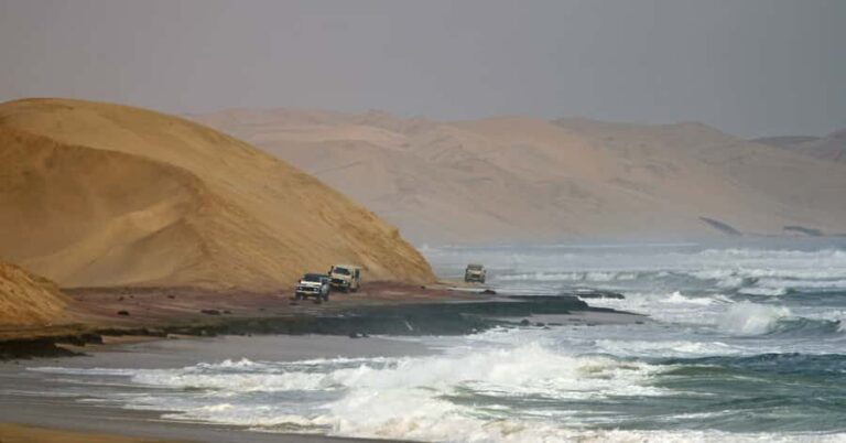 Walvis Bay: 4x4 Desert Excursion to Sandwich Harbour Bay - Starting at the Walvis Bay Waterfront: flamingos and an easy warm-up