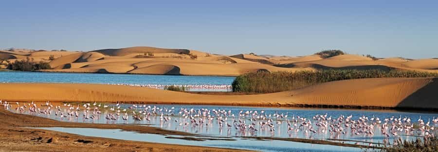Walvis Bay and Sandwich Harbour Tour - Hitting Namib-Naukluft Park: old border vibes and real off-road driving