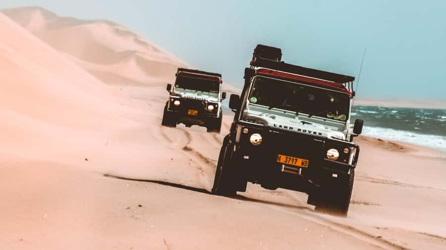 Walvis Bay: Dolphin Cruise, Pink Lakes and 4x4 Dune Drive - Walvis Bay in one day: cruise first, then dune 4x4