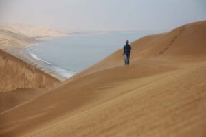 Walvis Bay: Dolphin Cruise, Pink Lakes and 4x4 Dune Drive - The morning catamaran cruise: lagoons, oysters, seals, and dolphin odds