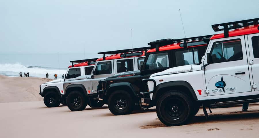 Walvis Bay: Dolphin Cruise, Pink Lakes and 4x4 Dune Drive - Who this tour suits best (and who should rethink it)
