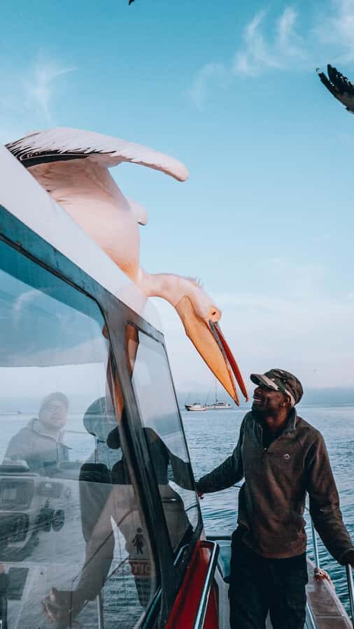 Walvis Bay: Dolphin Cruise, Pink Lakes and 4x4 Dune Drive - Should you book? My practical take