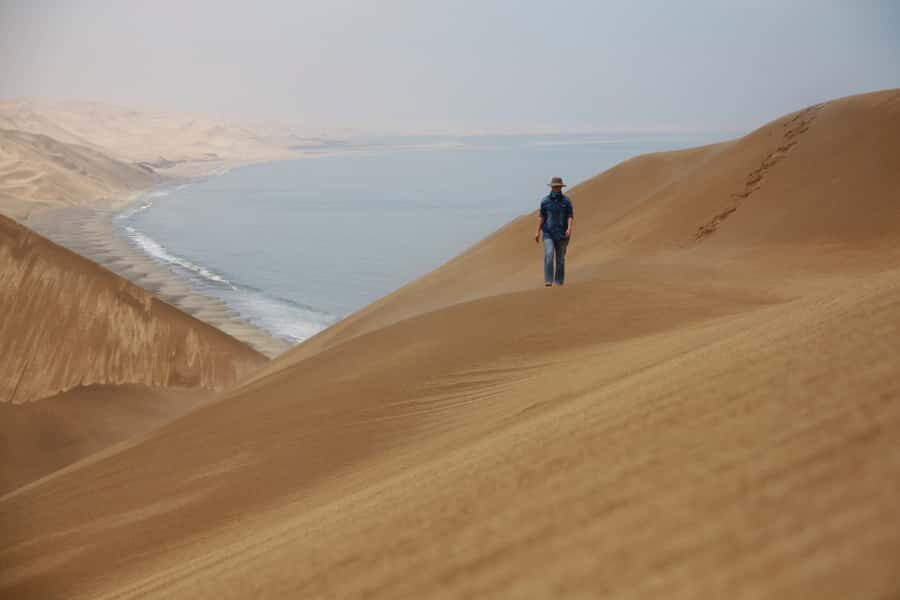 Walvis Bay: Dolphin Cruise, Pink Lakes and 4x4 Dune Drive - The morning catamaran cruise: lagoons, oysters, seals, and dolphin odds