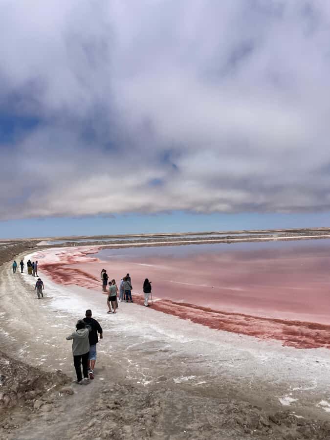 Walvis Bay: Half-Day Tour with Dune 7 and Pink Lake - Key Highlights You’ll Actually Feel