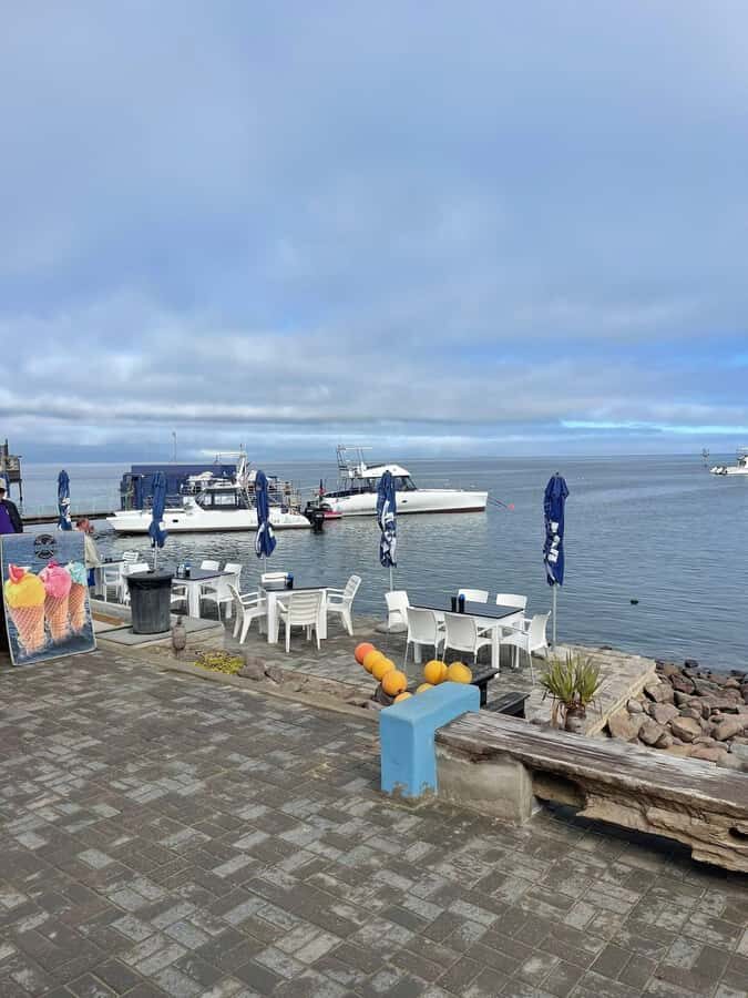 Walvis Bay: Half-Day Tour with Dune 7 and Pink Lake - Price and Time: Is $160 a Good Deal for This Route?