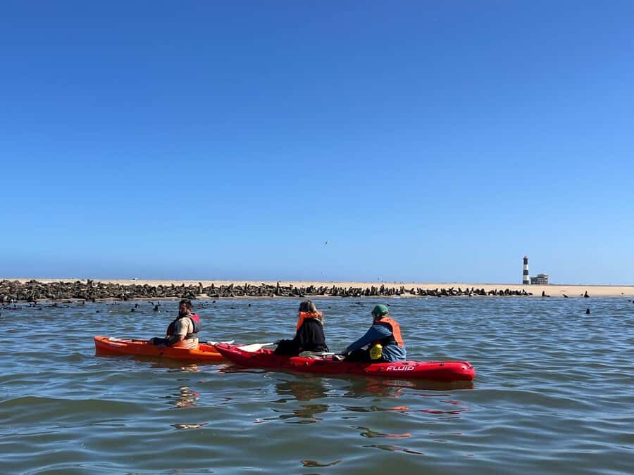 Walvis Bay: Kayaking and Sandwich Harbour Full-Day Tour - Key things I’d circle before you book