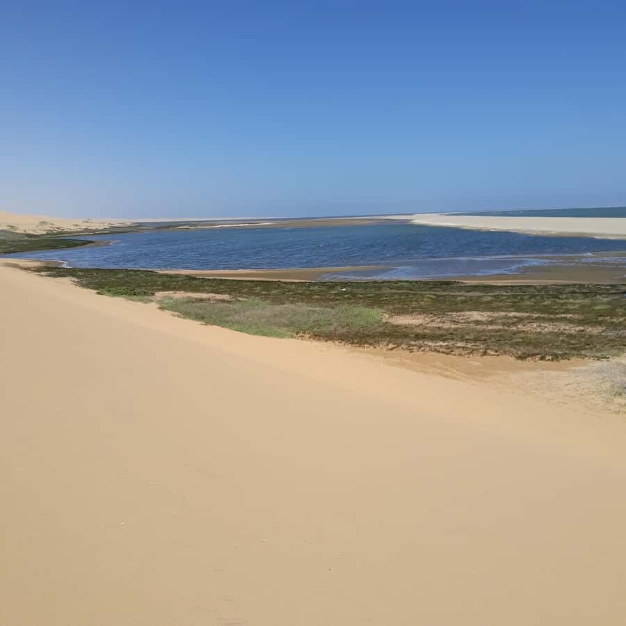 Walvis Bay: Kayaking and Sandwich Harbour Full-Day Tour - Sandwich Harbour and the !Nara Valley game drive: where desert wildlife still shows up